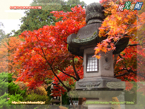 Stone lantern enclosed by autumn tint