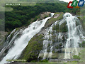 Yakushima Island Ohkonotaki waterfall