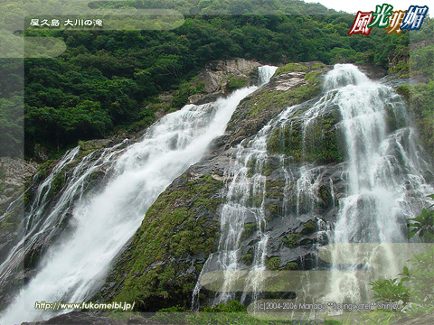 Yakushima Island Ohkonotaki waterfall