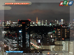 東京の夜景 皇居越しの東京タワー
