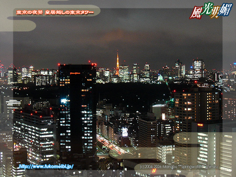 Tokyo Tower seen on the tip of night view Imperial Palace in Tokyo