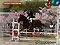 Baji-kouen double-flowered cherry tree and equestrian event