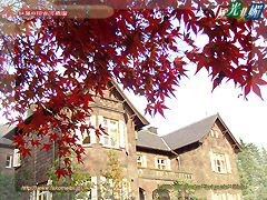 紅葉の旧古河庭園