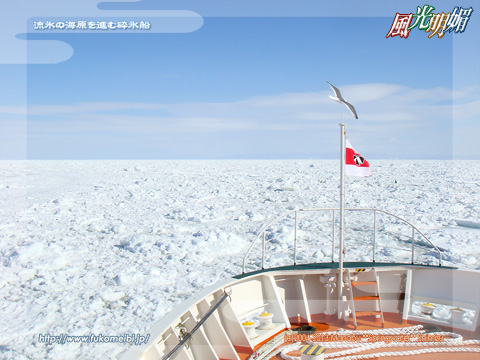 流氷の海原を進む砕氷船